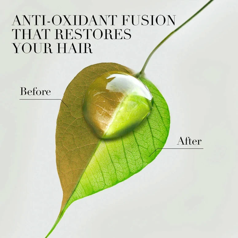 Herbal Essences Bio:Renew Argan Oil of Morocco Repair Conditioner 400ml